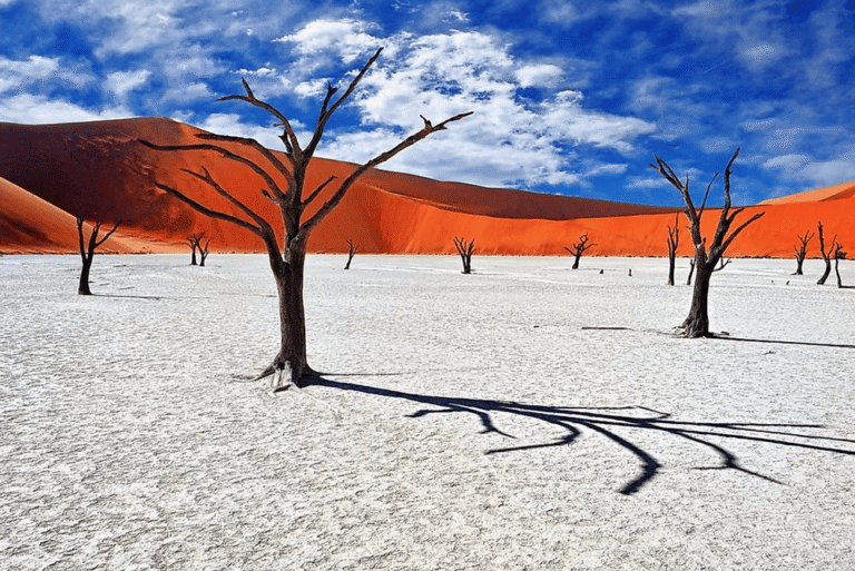 Dead Vlei in Namibia with ancient fossilized trees and red sand dunes during GoGo Tours’ Southern Africa: 3 Countries – South Africa, Botswana & Namibia (14-Day Tour).