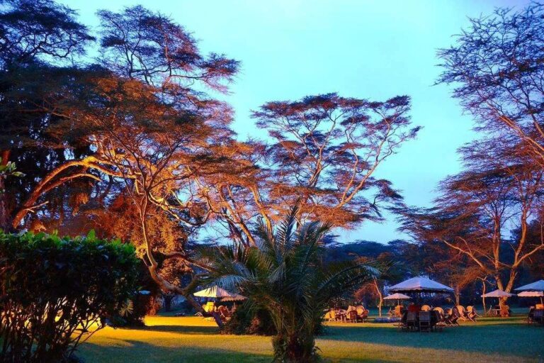 Outdoor dining area at Lake Naivasha surrounded by acacia trees.