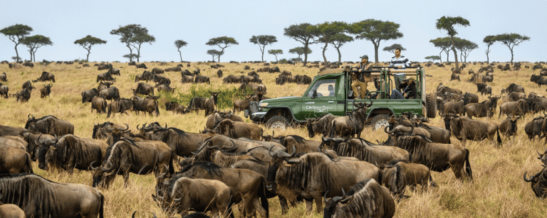 GoGo Tours safari vehicle surrounded by a large herd of wildebeest during the East Africa 15-day safari tour.