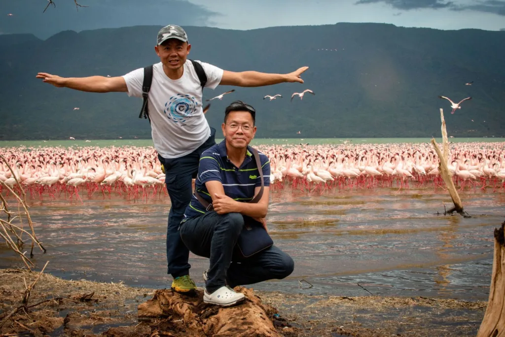 GoGo Tours visitors taking photos with flocks of flamingos by the lakeshore in Kenya during the East Africa 15-day tour.