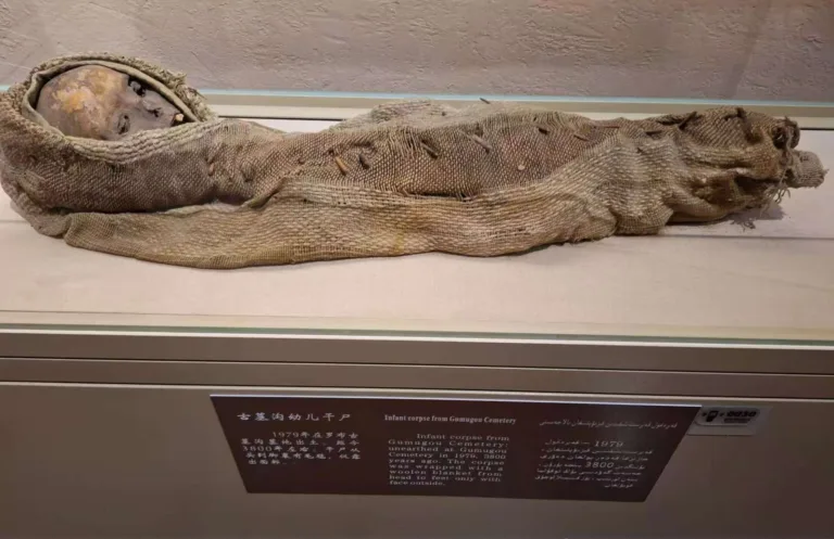 Ancient mummies on display at Xinjiang Museum, China