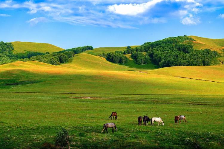 Ordos Grassland scenic landscape in Inner Mongolia China