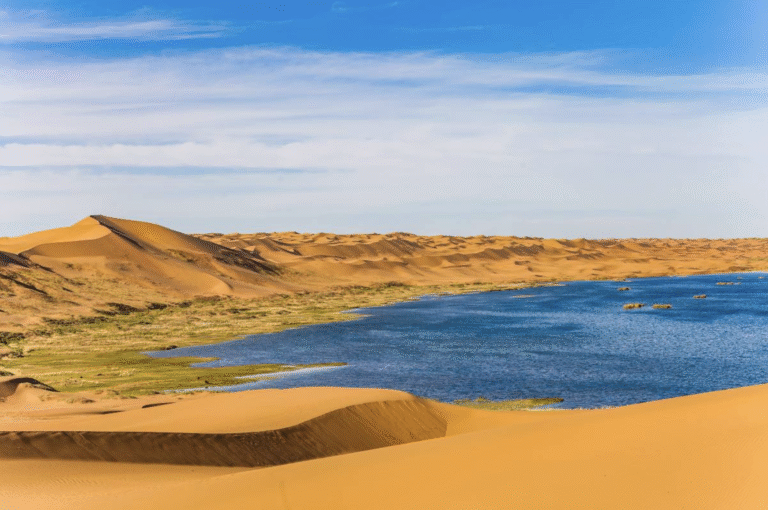 Lagoon surrounded by sand dunes in Tengger Desert 騰格裡沙漠
