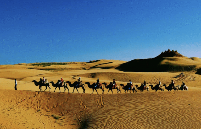 Camel ride in Xiangshawan Desert Inner Mongolia China