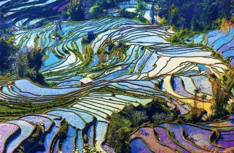 Explore the Hani Rice Terraces in Yunnan