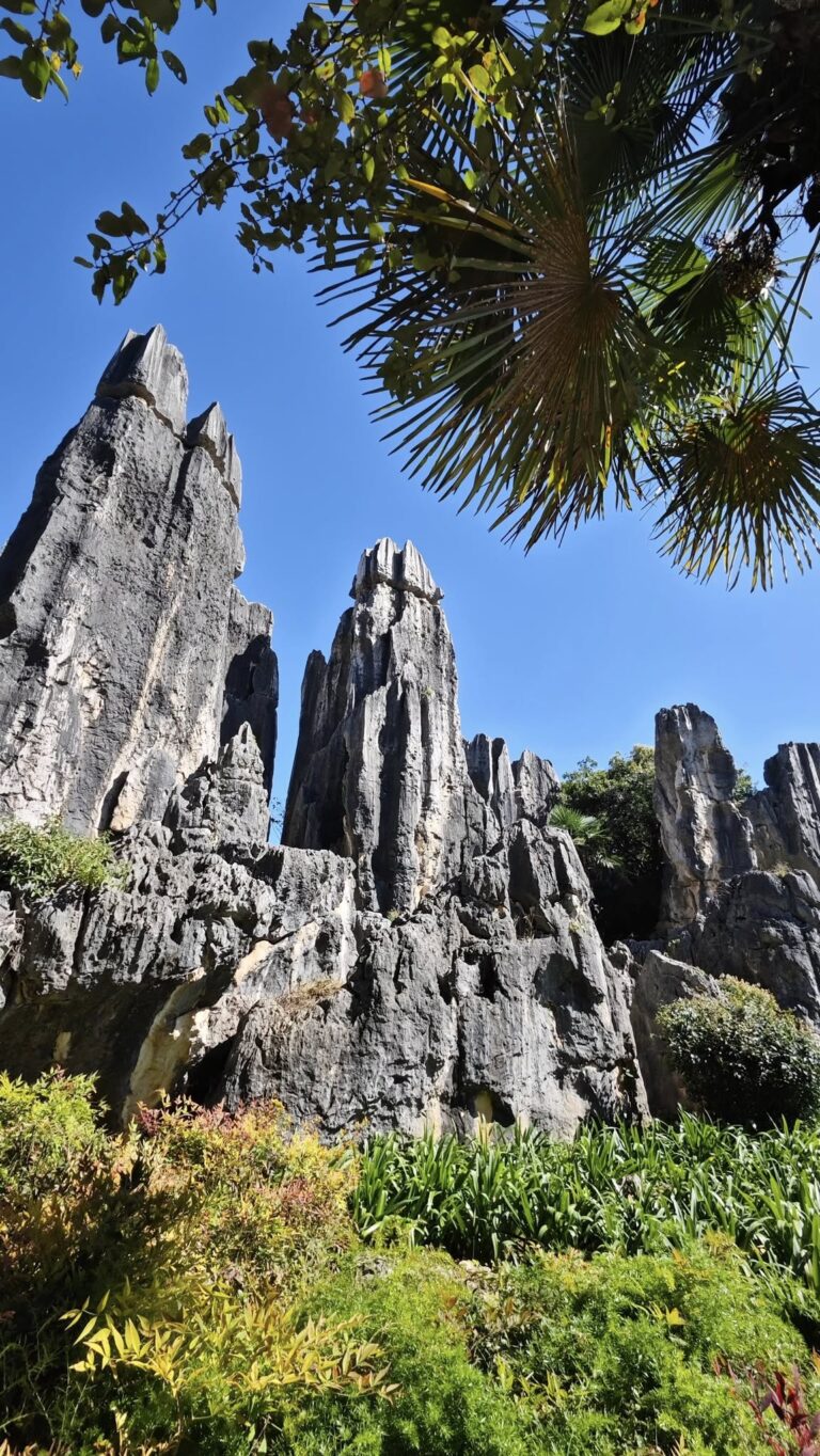 Stone Forest rock formations in Yunnan