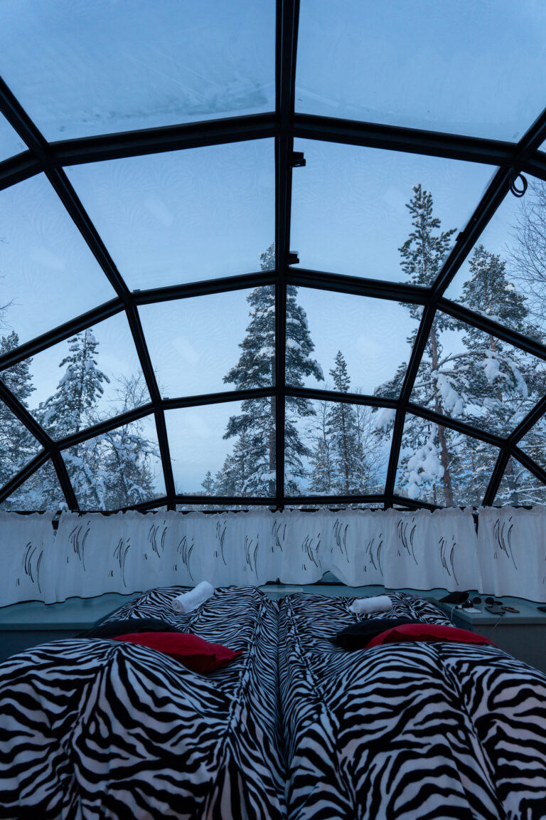 Interior of a glass-roof Aurora cabin during GoGo Tours’ Arctic Circle 9-Day Tour.
