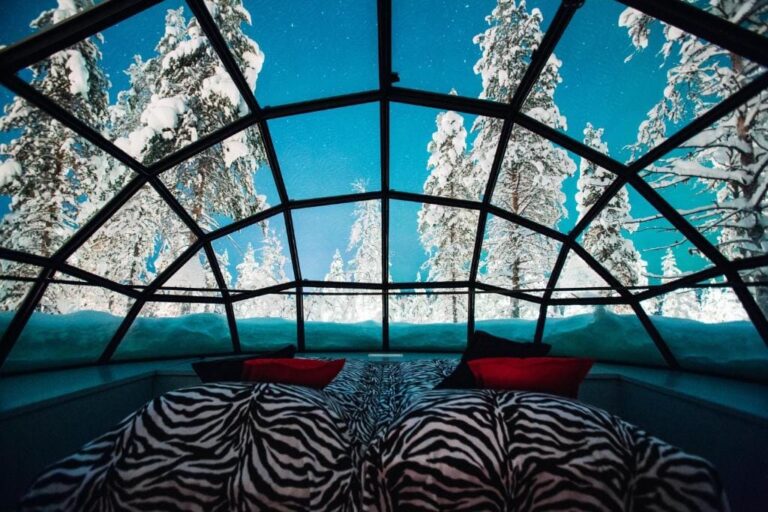 Interior of a glass-roof Aurora cabin during GoGo Tours’ Arctic Circle 9-Day Tour.